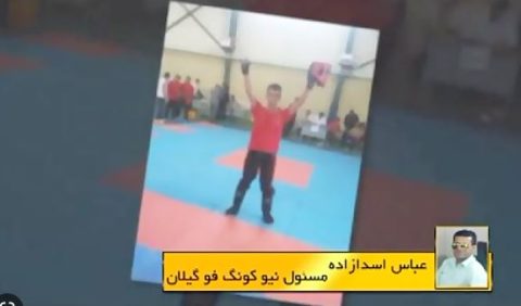نیوکونگ فو انزلی