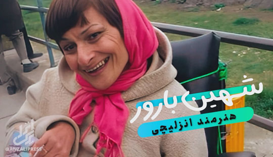 شهین بارور