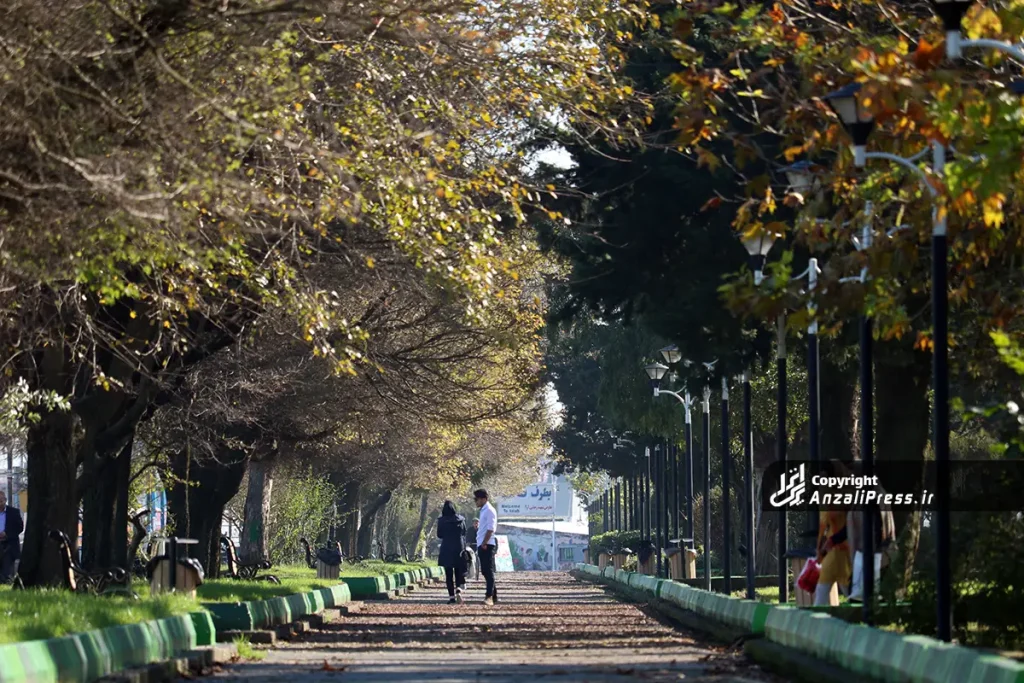بلوار قدس انزلی