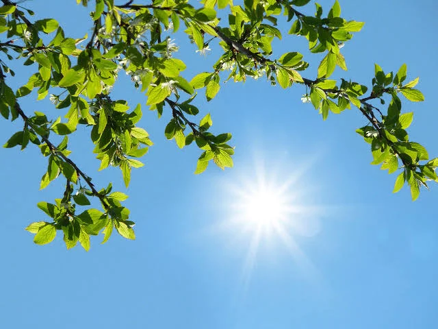 آب و هوای گیلان
